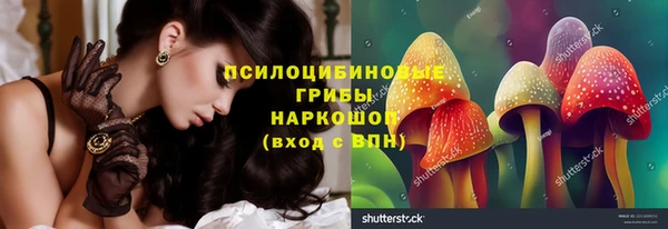 бутират Заполярный