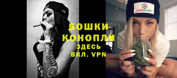 бошки Протвино