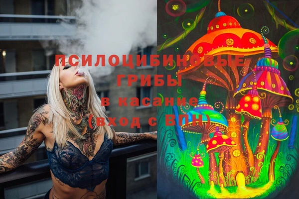 круглые Приозерск