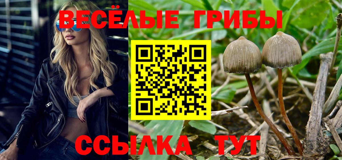 Cocaine  Вход с VPN  Меф МЯУ МЯУ кристаллы  Советская Гавань  Экстази  Марихуана  ГАШИШ  Меф 