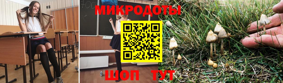 Галлюциногенные грибы мицелий  Вход с VPN  Галлюциногенные грибы Cubensis  Советская Гавань 