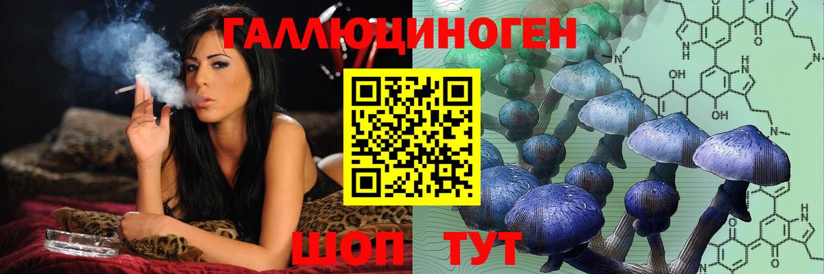 Псилоцибиновые грибы Psilocybine cubensis Советская Гавань