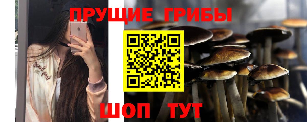 Псилоцибиновые грибы Cubensis  магазин продажи   Советская Гавань 